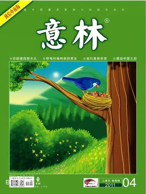 意林封面